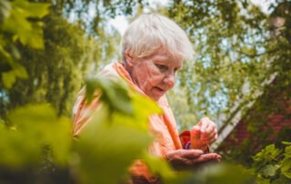 Eventide Senior Concierge - home care services for seniors