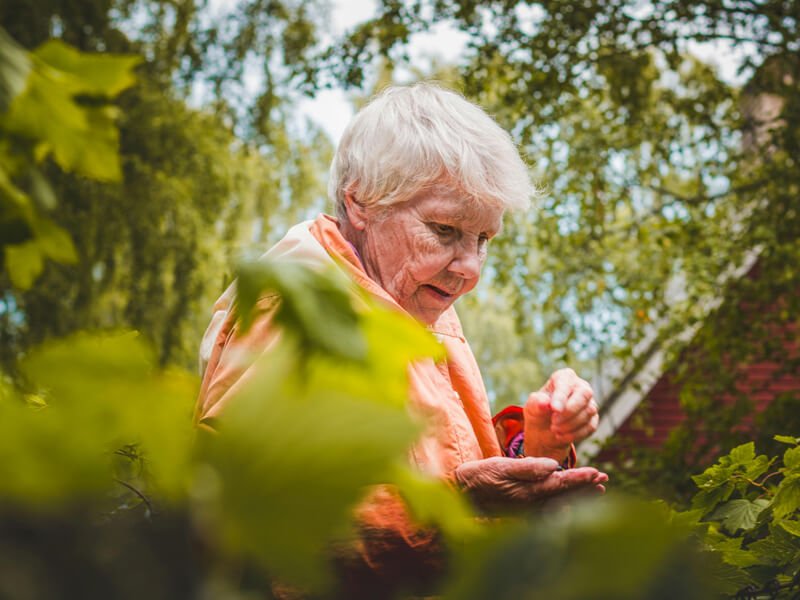 Eventide Senior Concierge - home care services for seniors